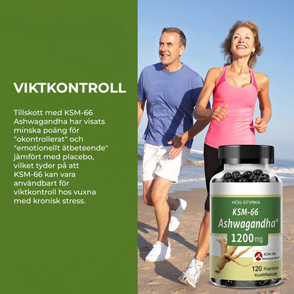 alt
Ashwagandha Premium 1200 mg - Gymfit