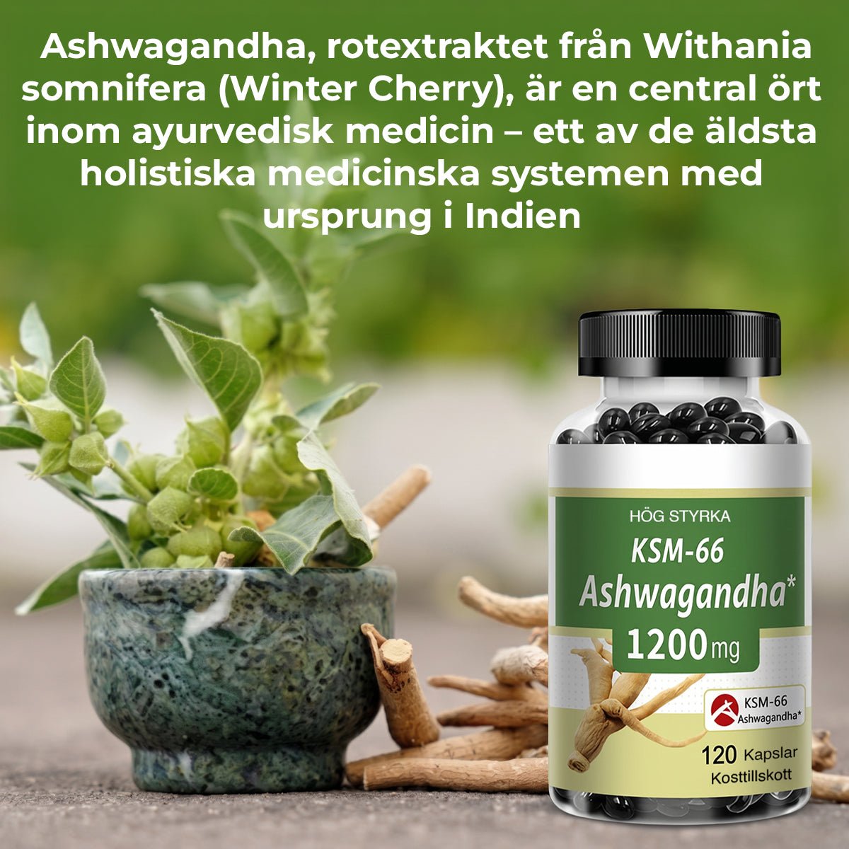 alt
Ashwagandha Premium 1200 mg - Gymfit
