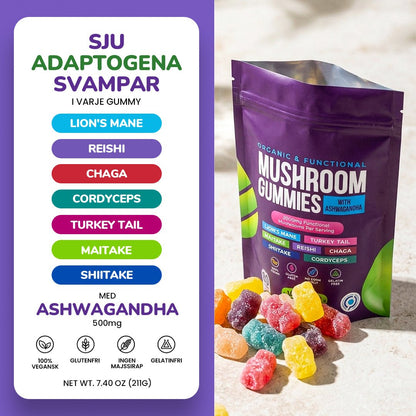 Focus & Calm Mushroom Gummies – 2500mg med Lion’s Mane & Ashwagandha (80 st) - Gymfit