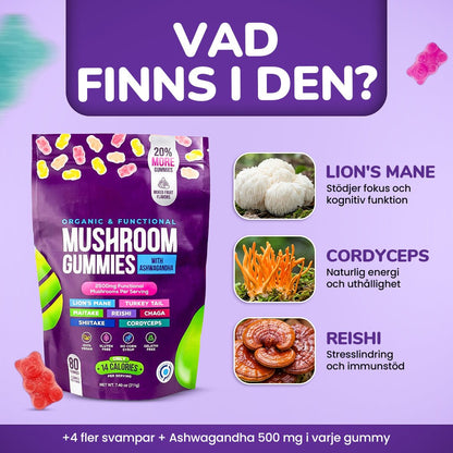 Focus & Calm Mushroom Gummies – 2500mg med Lion’s Mane & Ashwagandha (80 st) - Gymfit