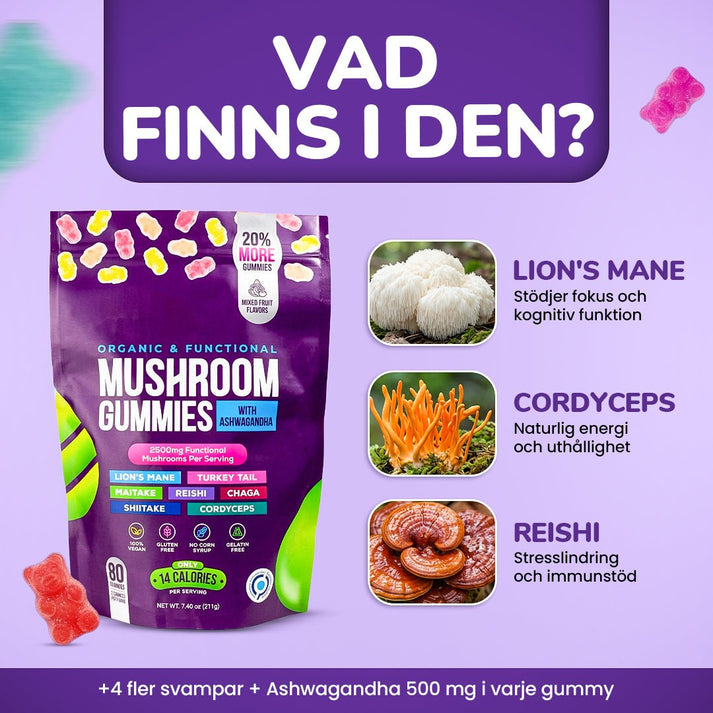 Focus & Calm: förpackning och innehåll, Lion's Mane, Cordyceps, Reishi med korta hälsofördelar på svenska.