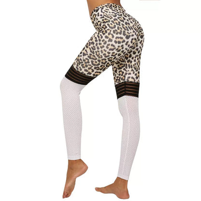 Gymfit Leo Leggings - Gymfit