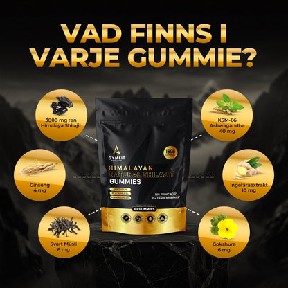 Gymfit Nutrition Shilajit - Gymfit