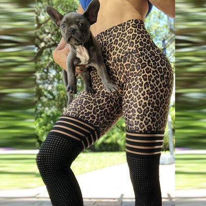 Gymfit - Leo Leggings