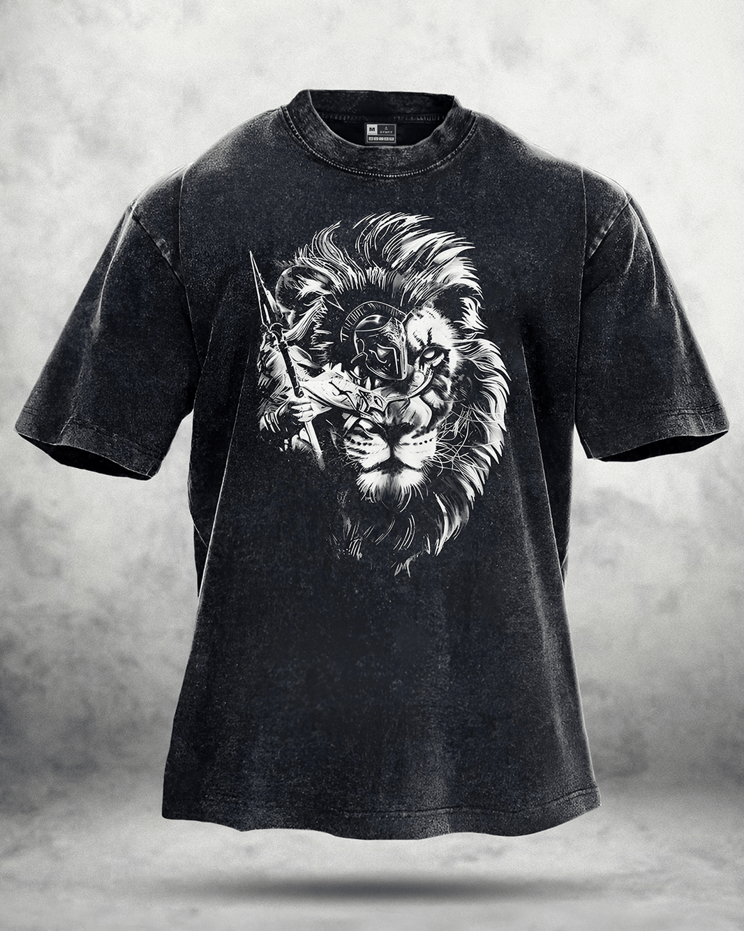 LION SPARTAN WASHED T - SHIRT - Gymfit