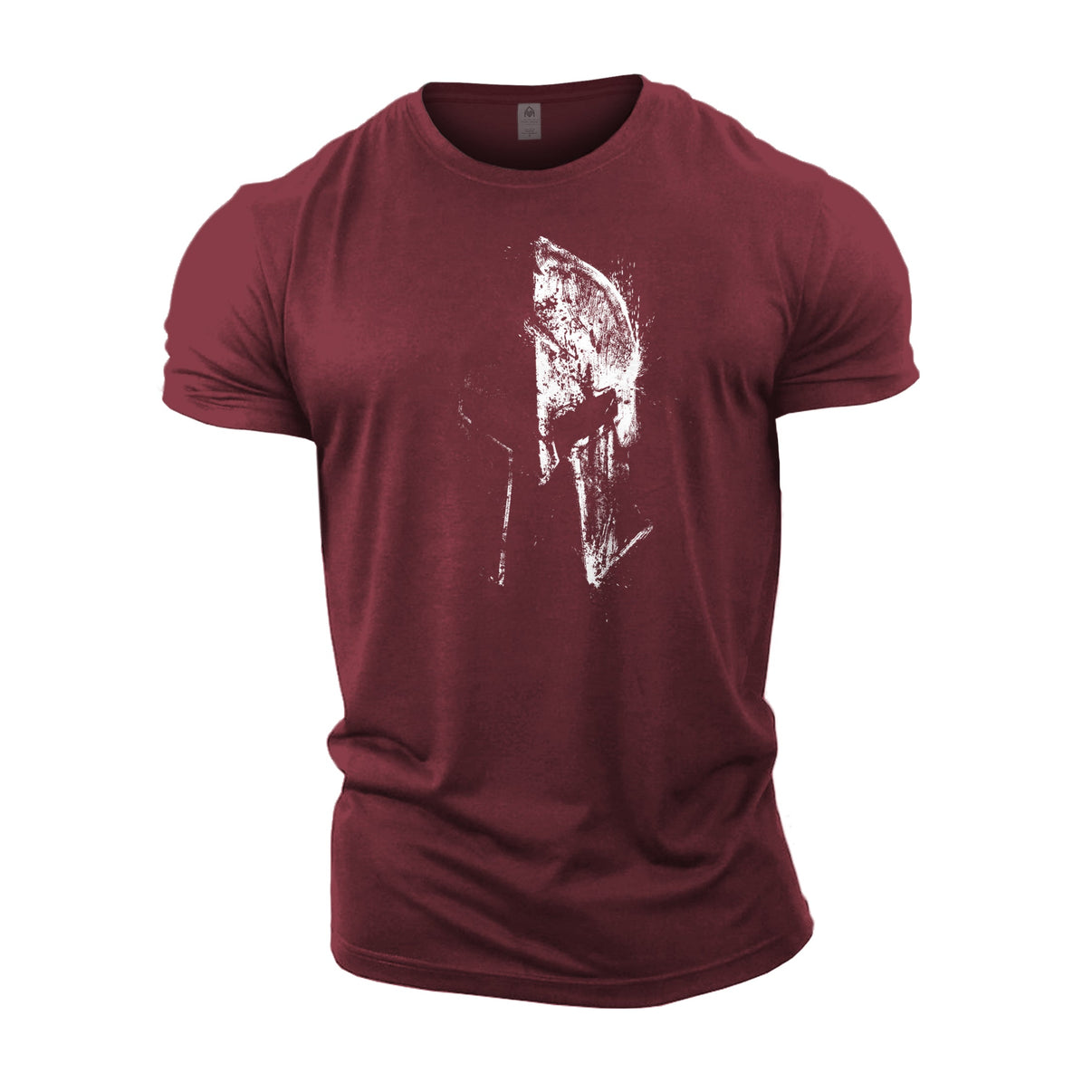 Spartan Faded - Gym T-Shirt - Gymfit