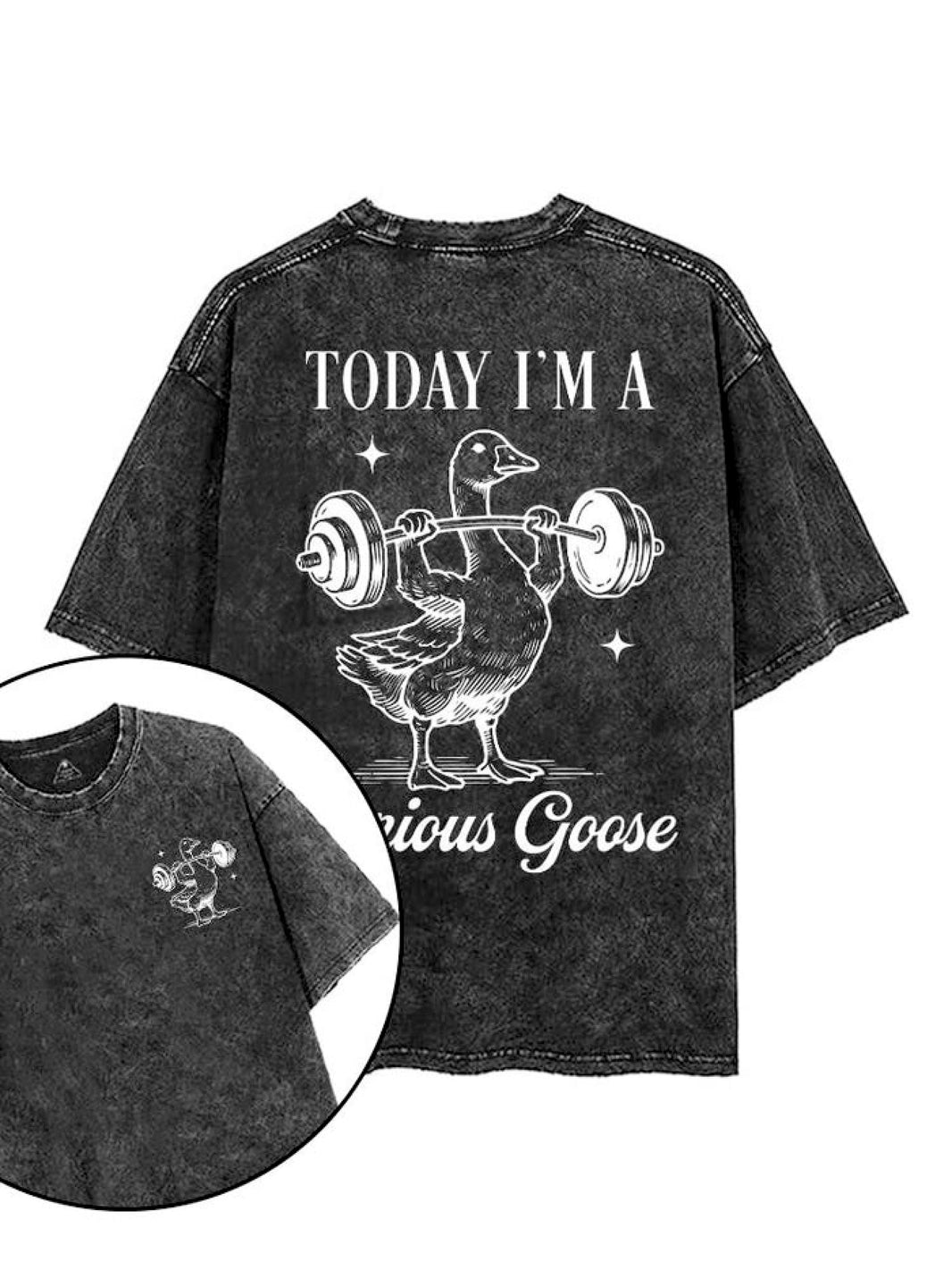 TODAY I'M A SEROIUS GOOSE T - SHIRT - Gymfit